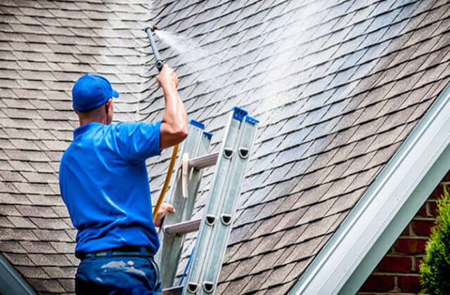 federal way roof cleaning